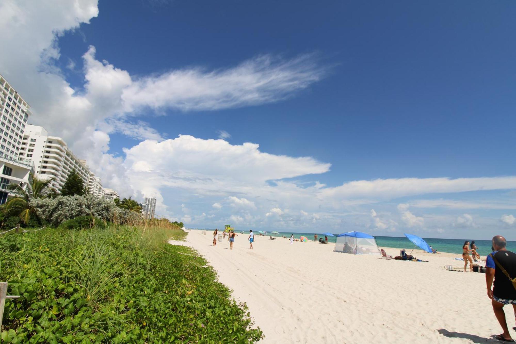Castle Pavillon 8 Beachfront - Private Beach Access Loft With 2-Story, Pool, Tennis, Free Parking Access Miami Beach Esterno foto
